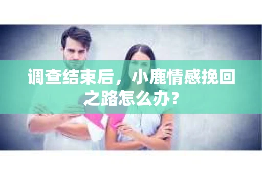 调查结束后，小鹿情感挽回之路怎么办？