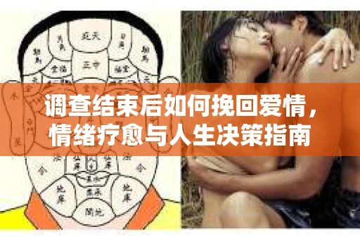 调查结束后如何挽回爱情，情绪疗愈与人生决策指南