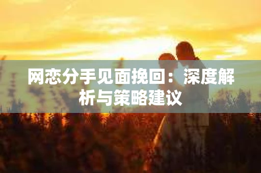 网恋分手见面挽回:深度解析与策略建议 网恋分手见面挽回:深度解析与策略建议