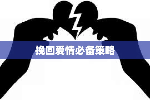 挽回爱情必备策略