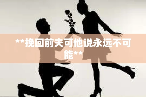 **挽回前夫可他说永远不可能**