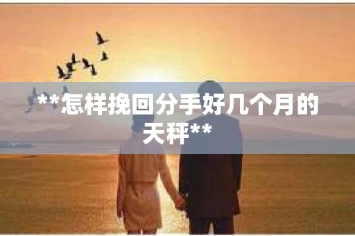 **怎样挽回分手好几个月的天秤**