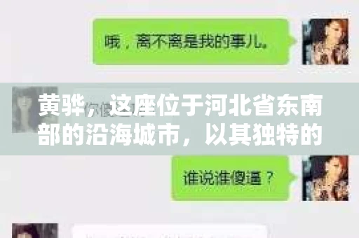 黄骅，这座位于河北省东南部的沿海城市，以其独特的地理位置和丰富的历史文化而闻名。然而，在这座城市中，还有一群人，他们以另一种方式默默守护着社会的公平与正义——私家侦探。今天，我们就来聊聊黄骅的私家侦探，看看他们是如何在这个城市中发挥作用的。