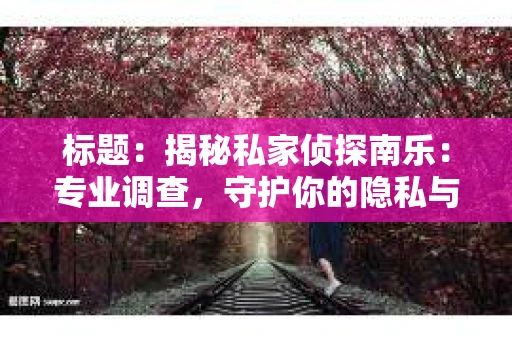 标题：揭秘私家侦探南乐：专业调查，守护你的隐私与权益