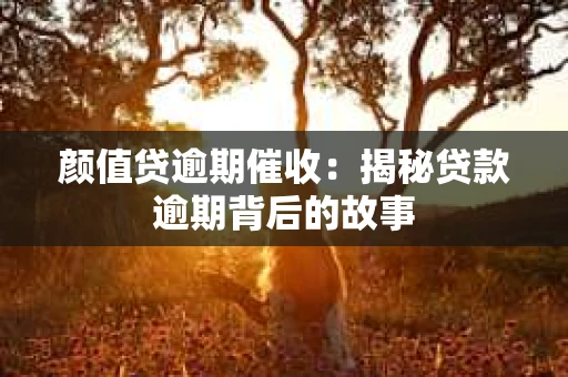 颜值贷逾期催收：揭秘贷款逾期背后的故事
