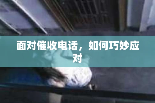 面对催收电话，如何巧妙应对