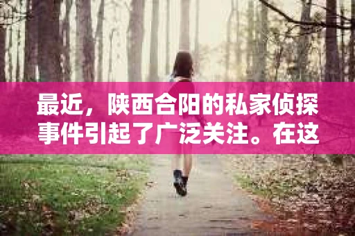 最近，陕西合阳的私家侦探事件引起了广泛关注。在这个信息爆炸的时代，隐私保护显得尤为重要。今天，我们就来聊聊这个事件，看看它背后的一些故事。