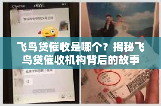 飞鸟贷催收是哪个？揭秘飞鸟贷催收机构背后的故事