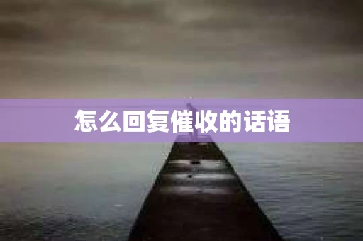 怎么回复催收的话语