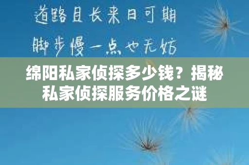 绵阳私家侦探多少钱？揭秘私家侦探服务价格之谜
