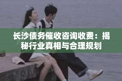 长沙债务催收咨询收费：揭秘行业真相与合理规划