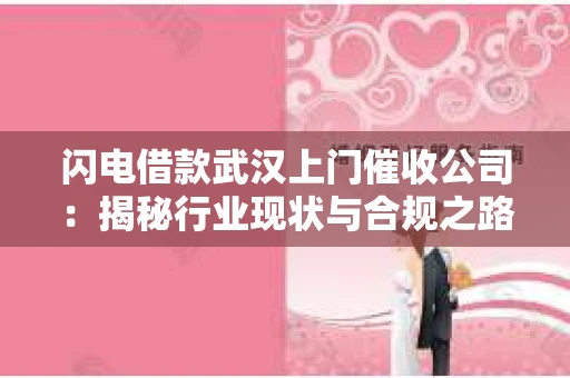 闪电借款武汉上门催收公司：揭秘行业现状与合规之路