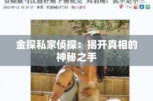金探私家侦探：揭开真相的神秘之手