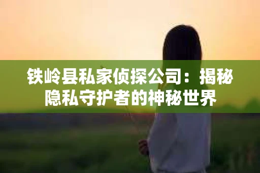 铁岭县私家侦探公司：揭秘隐私守护者的神秘世界