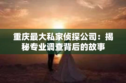 重庆最大私家侦探公司：揭秘专业调查背后的故事