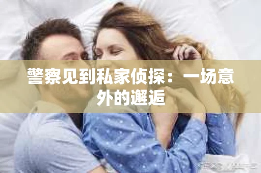 警察见到私家侦探：一场意外的邂逅