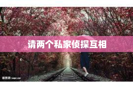 请两个私家侦探互相