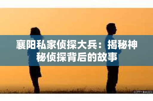 襄阳私家侦探大兵：揭秘神秘侦探背后的故事