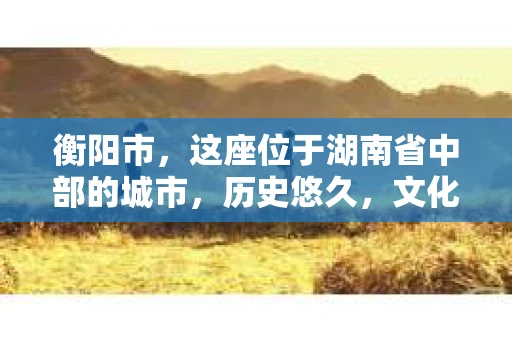 衡阳市，这座位于湖南省中部的城市，历史悠久，文化底蕴深厚。随着社会的发展，人们对于个人隐私的保护意识逐渐增强，私家侦探机构也应运而生。那么，衡阳市是否有私家侦探机构呢？今天，我们就来聊聊这个话题。