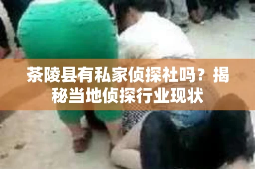 茶陵县有私家侦探社吗？揭秘当地侦探行业现状