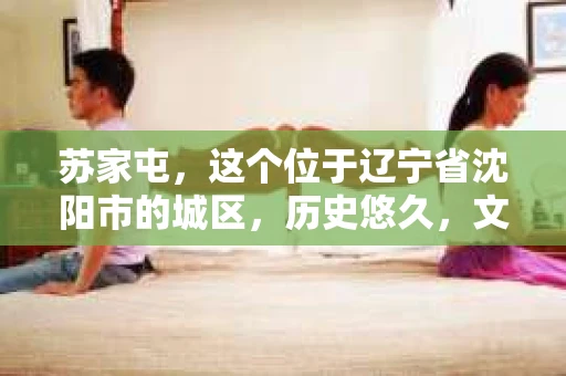 苏家屯，这个位于辽宁省沈阳市的城区，历史悠久，文化底蕴深厚。近年来，随着社会的发展，人们对于私家侦探的需求也逐渐增加。那么，苏家屯有私家侦探吗？今天，我们就来聊聊这个话题。