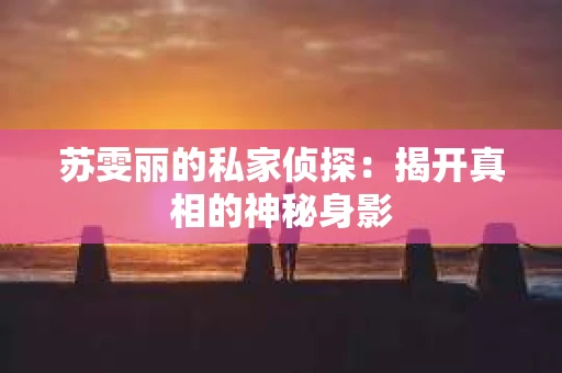 苏雯丽的私家侦探：揭开真相的神秘身影