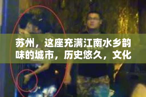 苏州，这座充满江南水乡韵味的城市，历史悠久，文化底蕴深厚。在这样一个充满故事的地方，私家侦探公司自然也不少。那么，苏州哪有私家侦探公司呢？今天，我就来给大家盘点一下。