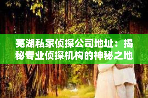 芜湖私家侦探公司地址：揭秘专业侦探机构的神秘之地