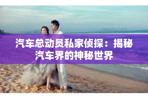 汽车总动员私家侦探：揭秘汽车界的神秘世界