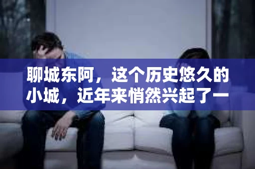 聊城东阿，这个历史悠久的小城，近年来悄然兴起了一股新的服务潮流——私家侦探。今天，我们就来聊聊这个话题，看看在聊城东阿，私家侦探是如何成为人们生活中的一部分的。