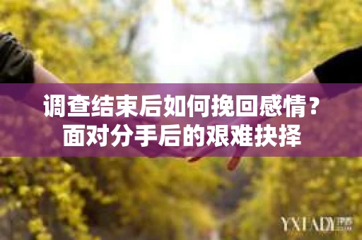 调查结束后如何挽回感情？面对分手后的艰难抉择
