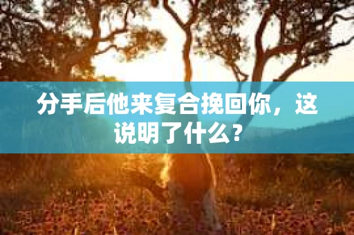 分手后他来复合挽回你，这说明了什么？