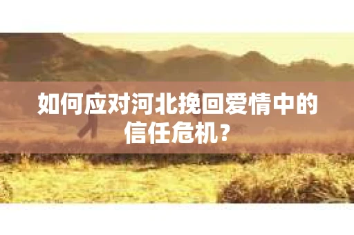 如何应对河北挽回爱情中的信任危机？