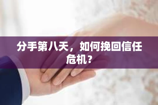分手第八天，如何挽回信任危机？