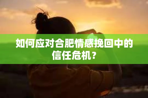 如何应对合肥情感挽回中的信任危机？